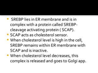 SREBP lies in ER membrane and is in complex with a protein called SREBP- cleavage activating protein ( SCAP). SCAP acts as cholesterol sensor. When cholesterol level is high in the cell, SREBP remains within ER membrane with SCAP and is inactive. When cholesterol level decreases, this complex is released and goes to Golgi app. 
