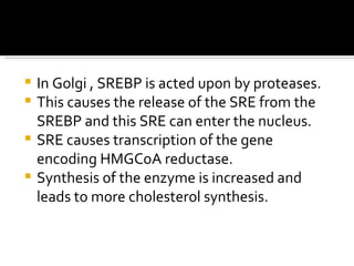 In Golgi , SREBP is acted upon by proteases. This causes the release of the SRE from the SREBP and this SRE can enter the nucleus. SRE causes transcription of the gene encoding HMGCoA reductase. Synthesis of the enzyme is increased and leads to more cholesterol synthesis. 