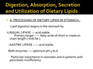 A- PROCESSING OF DIETARY LIPIDS IN STOMACH:- Lipid digestion begins in the stomach by  -LINGUAL LIPASE --- acid stable. Primary target ----- fatty acids of short or medium chain length ( milk fat ). -GASTRIC LIPASE ----- acid stable. Both enzymes ---- optimum pH 4 to 6 Particular importance in neonates and in patients with pancreatic insufficiency. 