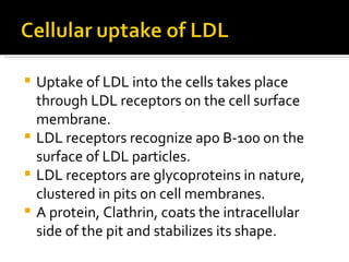 Uptake of LDL into the cells takes place through LDL receptors on the cell surface membrane. LDL receptors recognize apo B-100 on the surface of LDL particles. LDL receptors are glycoproteins in nature, clustered in pits on cell membranes. A protein, Clathrin, coats the intracellular side of the pit and stabilizes its shape. 