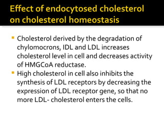 Cholesterol derived by the degradation of chylomocrons, IDL and LDL increases cholesterol level in cell and decreases activity of HMGCoA reductase. High cholesterol in cell also inhibits the synthesis of LDL receptors by decreasing the expression of LDL receptor gene, so that no more LDL- cholesterol enters the cells. 