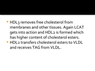 HDL3 removes free cholesterol from membranes and other tissues. Again LCAT gets into action and HDL2 is formed which has higher content of cholesterol esters. HDL2 transfers cholesterol esters to VLDL and receives TAG from VLDL. 