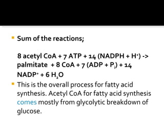 Sum of the reactions; 8 acetyl CoA + 7 ATP + 14 (NADPH + H + ) -> palmitate  + 8 CoA + 7 (ADP + P i ) + 14 NADP +  + 6 H 2 O  This is the overall process for fatty acid synthesis. Acetyl CoA for fatty acid synthesis  comes  mostly from glycolytic breakdown of glucose.  