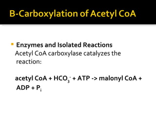   Enzymes and Isolated Reactions Acetyl CoA carboxylase catalyzes the reaction:  acetyl CoA + HCO 3 -  + ATP -> malonyl CoA + ADP + P i   
