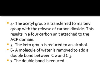 4- The acetyl group is transferred to malonyl group with the release of carbon dioxide. This results in a four carbon unit attached to the ACP domain. 5- The keto group is reduced to an alcohol. 6- A molecule of water is removed to add a double bond between C 2 and C 3.  7-The double bond is reduced. 