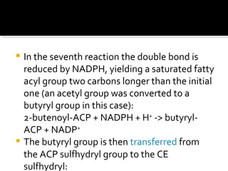 In the seventh reaction the double bond is reduced by NADPH, yielding a saturated fatty acyl group two carbons longer than the initial one (an acetyl group was converted to a butyryl group in this case):  2-butenoyl-ACP + NADPH + H +  -> butyryl-ACP + NADP +   The butyryl group is then  transferred  from the ACP sulfhydryl group to the CE sulfhydryl:  