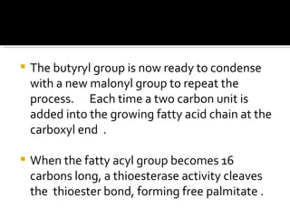 The butyryl group is now ready to condense with a new malonyl group to repeat the process.  Each time a two carbon unit is added into the growing fatty acid chain at the carboxyl end  .  When the fatty acyl group becomes 16 carbons long, a thioesterase activity cleaves the  thioester bond, forming free palmitate . 