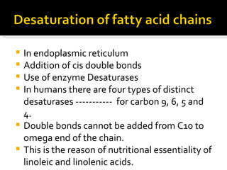 In endoplasmic reticulum Addition of cis double bonds Use of enzyme Desaturases In humans there are four types of distinct desaturases -----------  for carbon 9, 6, 5 and 4. Double bonds cannot be added from C10 to omega end of the chain. This is the reason of nutritional essentiality of linoleic and linolenic acids. 