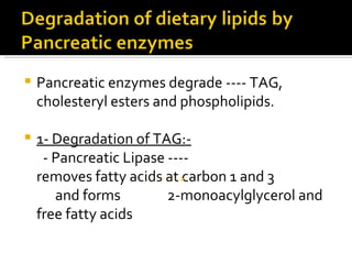 Pancreatic enzymes degrade ---- TAG, cholesteryl esters and phospholipids. 1- Degradation of TAG:- - Pancreatic Lipase ----  removes fatty acids at carbon 1 and 3  and forms  2-monoacylglycerol and free fatty acids 