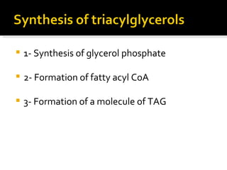 1- Synthesis of glycerol phosphate 2- Formation of fatty acyl CoA 3- Formation of a molecule of TAG 