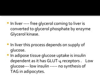 In liver ---- free glycerol coming to liver is converted to glycerol phosphate by enzyme Glycerol kinase. In liver this process depends on supply of glucose. In adipose tissue glucose uptake is insulin dependent as it has GLUT-4 receptors .  Low glucose--- low insulin ----- no synthesis of TAG in adipocytes. 