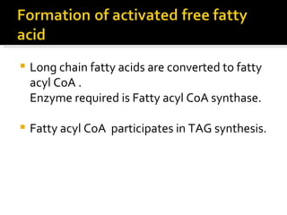 Long chain fatty acids are converted to fatty acyl CoA .  Enzyme required is Fatty acyl CoA synthase. Fatty acyl CoA  participates in TAG synthesis. 