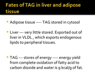 Adipose tissue ---- TAG stored in cytosol Liver --- very little stored. Exported out of liver in VLDL , which exports endogenous lipids to peripheral tissues. TAG --- stores of energy ---- energy yield from complete oxidation of fatty acid to carbon dioxide and water is 9 kcal/g of fat. 