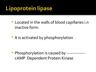 Located in the walls of blood capillaries i.n inactive form. It is activated by phosphorylation  Phosphorylation is caused by ------------- cAMP  Dependent Protein Kinase 
