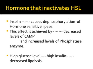 Insulin ------ causes dephosphorylation  of Hormone sensitive lipase. This effect is achieved by ------- decreased levels of cAMP  and increased levels of Phosphatase enzyme. High glucose level---- high insulin ----- decreased lipolysis. 