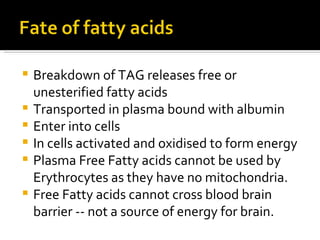 Breakdown of TAG releases free or unesterified fatty acids Transported in plasma bound with albumin Enter into cells In cells activated and oxidised to form energy Plasma Free Fatty acids cannot be used by Erythrocytes as they have no mitochondria. Free Fatty acids cannot cross blood brain barrier -- not a source of energy for brain. 