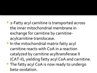 2-Fatty acyl carnitine is transported across the inner mitochondrial membrane in exchange for carnitine by carnitine-acylcarnitine translocase.  In the mitochondrial matrix fatty acyl carnitine reacts with CoA in a reaction catalyzed by carnitine acyltransferase II (CAT-II), yielding fatty acyl CoA and carnitine.  The fatty acyl CoA is now ready to undergo beta-oxidation.  