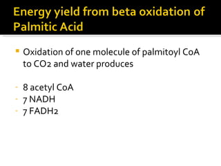Oxidation of one molecule of palmitoyl CoA  to CO2 and water produces 8 acetyl CoA 7 NADH 7 FADH2 