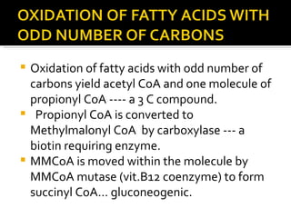 Oxidation of fatty acids with odd number of carbons yield acetyl CoA and one molecule of propionyl CoA ---- a 3 C compound. Propionyl CoA is converted to Methylmalonyl CoA  by carboxylase --- a biotin requiring enzyme. MMCoA is moved within the molecule by MMCoA mutase (vit.B12 coenzyme) to form succinyl CoA… gluconeogenic.  