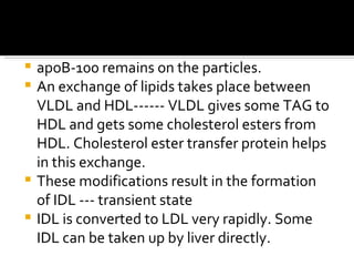 <ul><li>apoB-100 remains on the particles. </li></ul><ul><li>An exchange of lipids takes place between VLDL and HDL------ ...