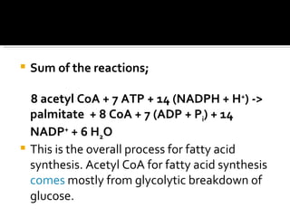 <ul><li>Sum of the reactions; </li></ul><ul><li>8 acetyl CoA + 7 ATP + 14 (NADPH + H + ) -> palmitate  + 8 CoA + 7 (ADP + ...