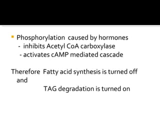 <ul><li>Phosphorylation  caused by hormones </li></ul><ul><li>-  inhibits Acetyl CoA carboxylase </li></ul><ul><li>- activ...