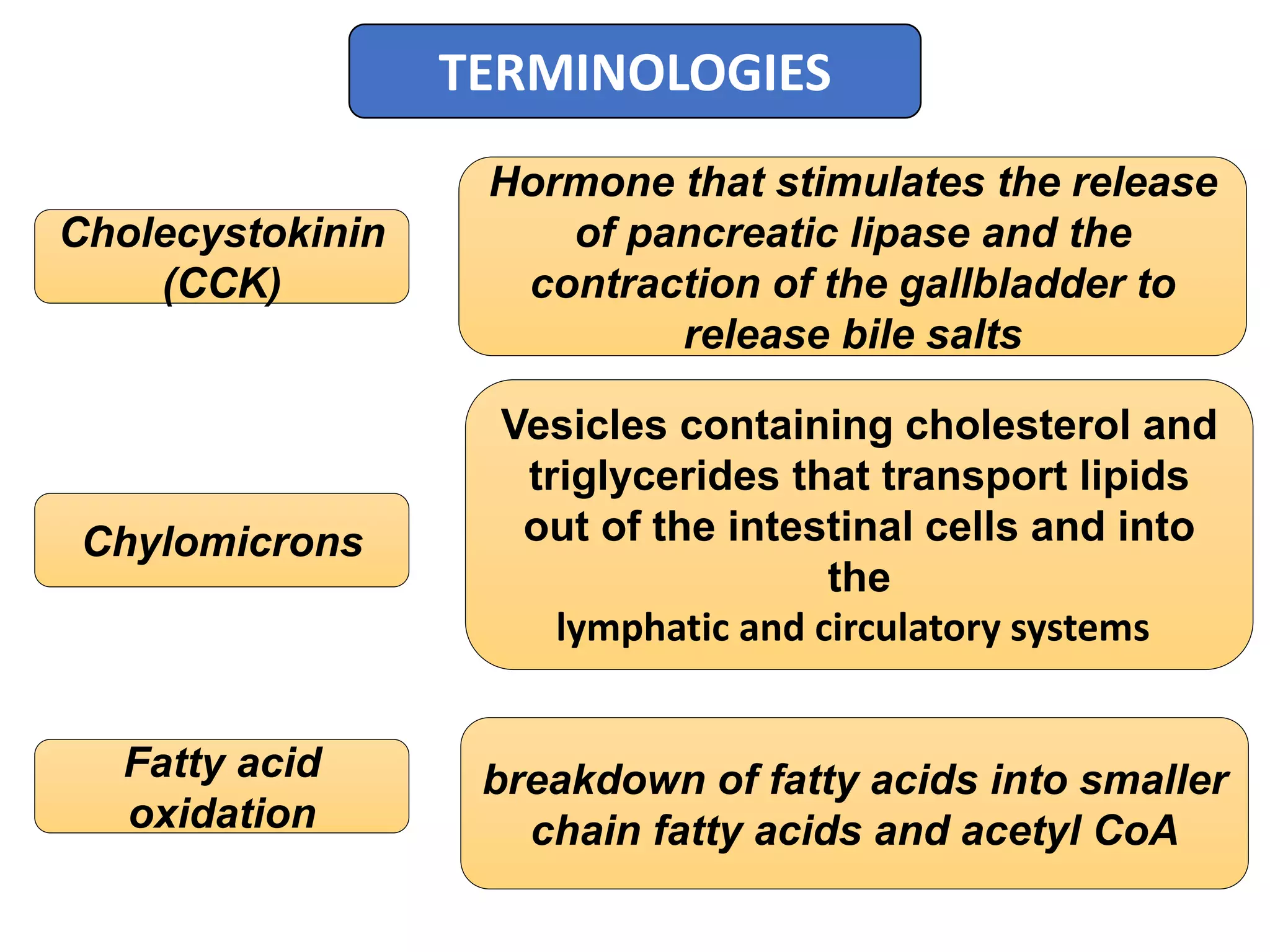 Gall Chain Lipid metabolism-Physiology-First Year Pharmacy | PPTX