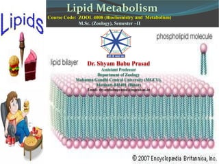 Lipid Coding LIPID_METABOLISM.pdf