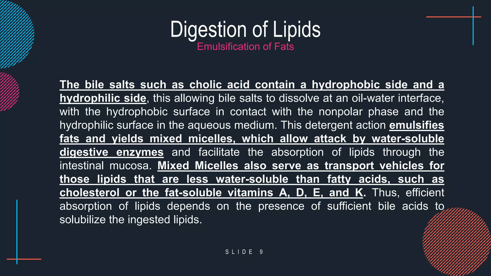 Lipid Metabolism.pptx