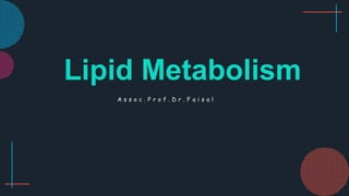 A s s o c . P r o f . D r . F a i s a l
Lipid Metabolism
 