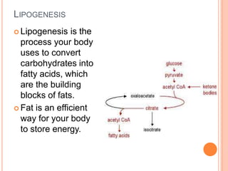 LIPOGENESIS
 Lipogenesis is the
process your body
uses to convert
carbohydrates into
fatty acids, which
are the building
blocks of fats.
 Fat is an efficient
way for your body
to store energy.
 