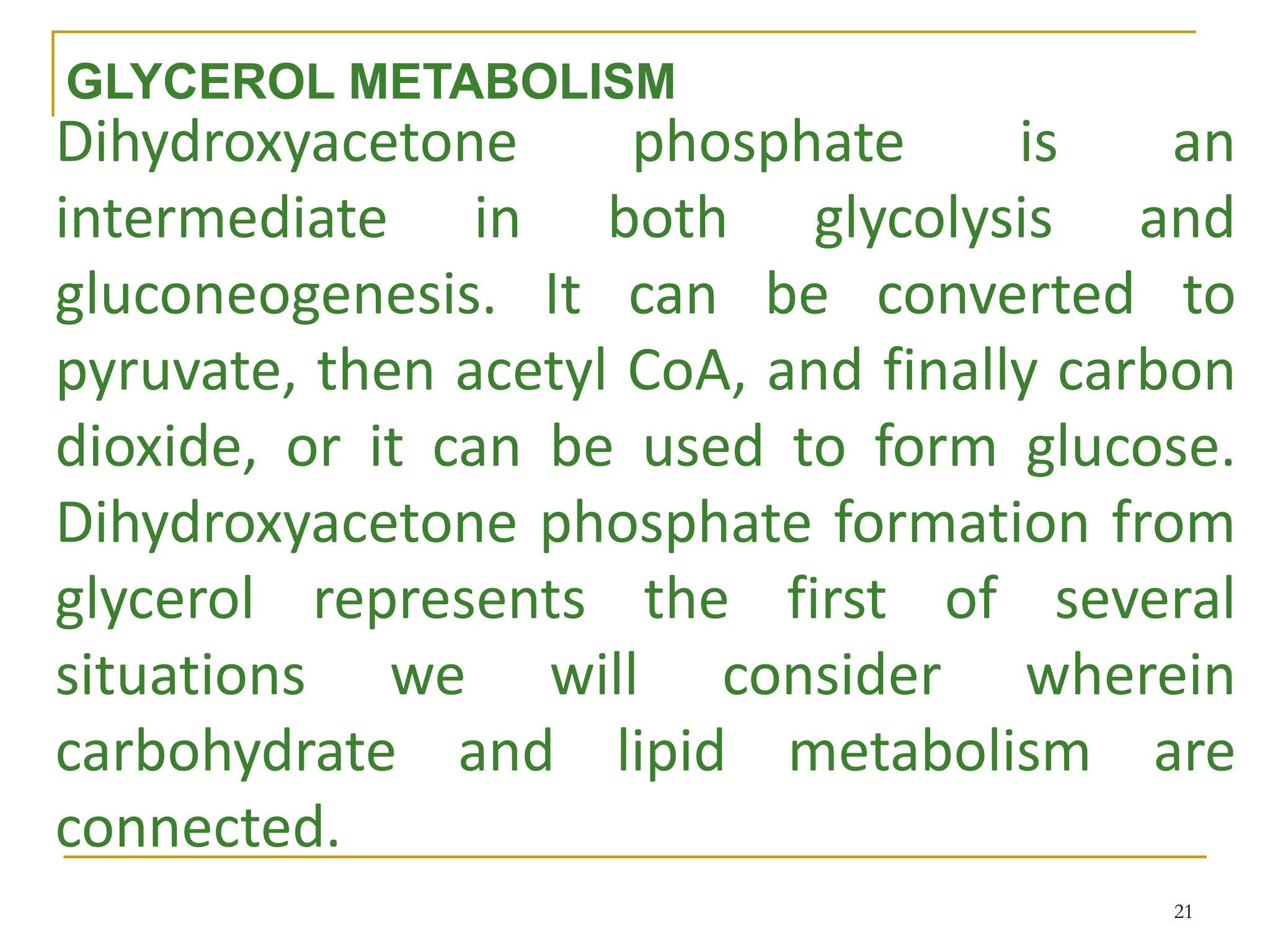 Lipid Metabolism Pdf Lipid Metabolism Pdf