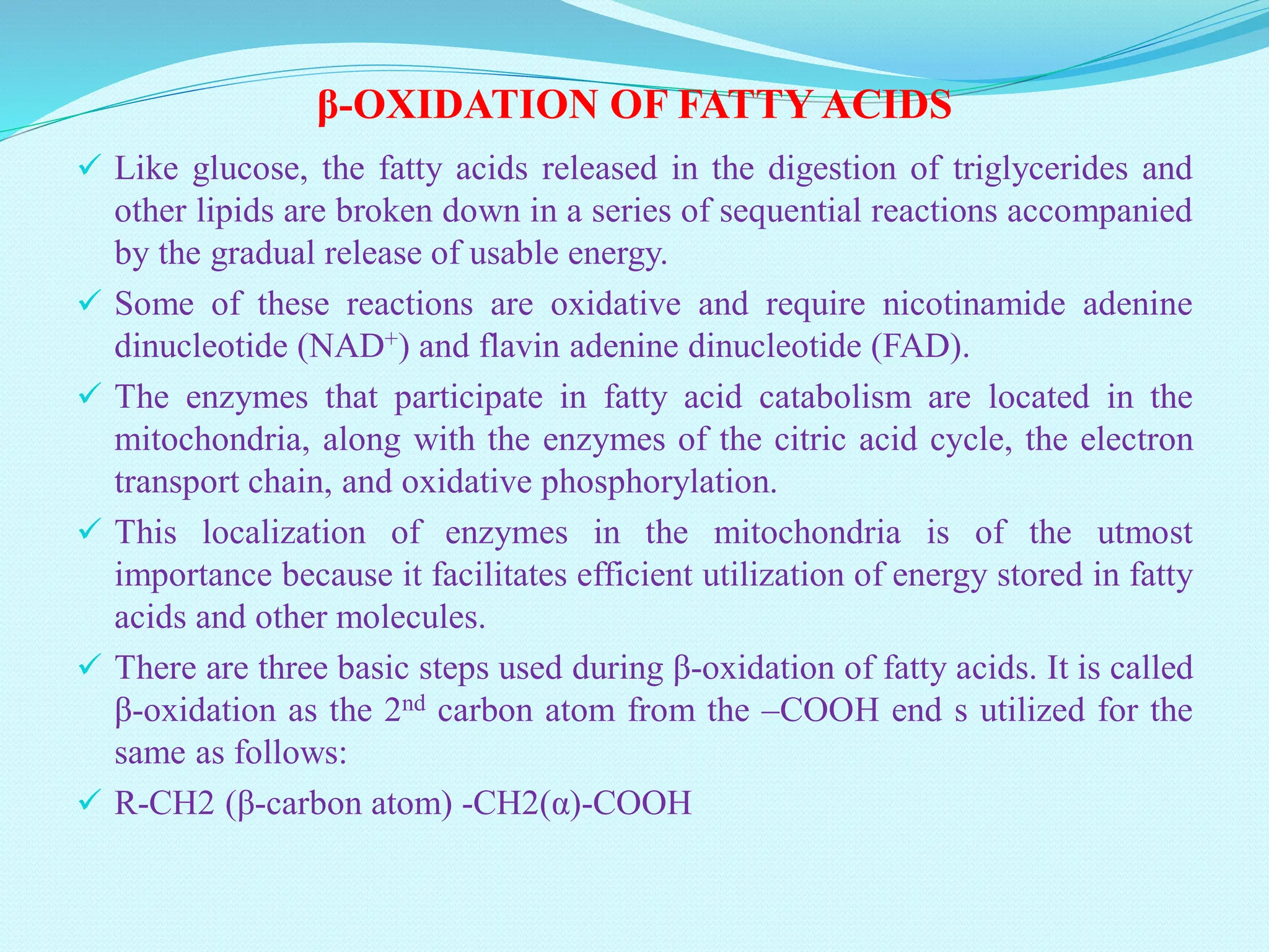 Lipid Metabolism-Lipolysis, Lipid synthesis, Beta Oxidation of Fatty ...