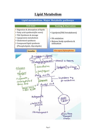 Lipid Metabolism in Plants for B.Sc. Semester Students | PDF