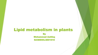 Lipid metabolism in plants
By
Mohammad Ashfaq
S23BSOIL3E01010
 