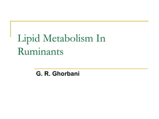 Lipid Metabolism In
Ruminants
G. R. Ghorbani

 