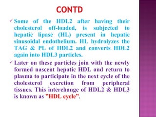 Lipoproteins: Structure, classification, metabolism and significance | PPT