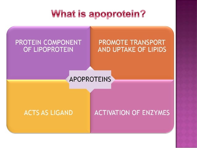 - b of composition lipoproteins part the metabolism Structure, Lipoproteins: classification, and significance