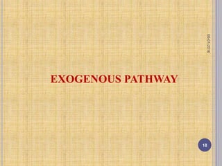 EXOGENOUS PATHWAY
05-01-2016
18
 