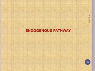 ENDOGENOUS PATHWAY
05-01-2016
23
 