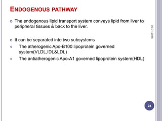 ENDOGENOUS PATHWAY
 The endogenous lipid transport system conveys lipid from liver to
peripheral tissues & back to the liver.
 It can be separated into two subsystems
 The atherogenic Apo-B100 lipoprotein governed
system(VLDL,IDL&LDL)
 The antiatherogenic Apo-A1 governed lipoprotein system(HDL)
05-01-2016
24
 