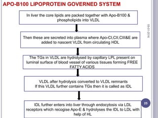 In liver the core lipids are packed together with Apo-B100 &
phospholipids into VLDL
Then these are secreted into plasma where Apo-CI,CII,CIII&E are
added to nascent VLDL from circulating HDL
The TGs in VLDL are hydrolysed by capillary LPL present on
luminal surface of blood vessel of various tissues forming FREE
FATTY ACIDS
VLDL after hydrolysis converted to VLDL remnants
If this VLDL further contains TGs then it is called as IDL
IDL further enters into liver through endocytosis via LDL
receptors which recogise Apo-E & hydrolyses the IDL to LDL with
help of HL
APO-B100 LIPOPROTEIN GOVERNED SYSTEM
05-01-2016
25
 