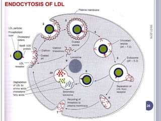 ENDOCYTOSIS OF LDL
05-01-2016
26
 