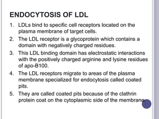 ENDOCYTOSIS OF LDL
1. LDLs bind to specific cell receptors located on the
plasma membrane of target cells.
2. The LDL receptor is a glycoprotein which contains a
domain with negatively charged residues.
3. This LDL binding domain has electrostatic interactions
with the positively charged arginine and lysine residues
of apo-B100.
4. The LDL receptors migrate to areas of the plasma
membrane specialized for endocytosis called coated
pits.
5. They are called coated pits because of the clathrin
protein coat on the cytoplasmic side of the membrane.
 