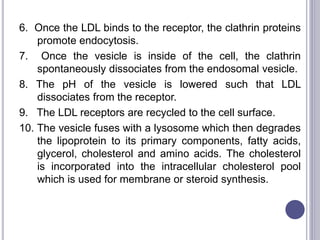 6. Once the LDL binds to the receptor, the clathrin proteins
promote endocytosis.
7. Once the vesicle is inside of the cell, the clathrin
spontaneously dissociates from the endosomal vesicle.
8. The pH of the vesicle is lowered such that LDL
dissociates from the receptor.
9. The LDL receptors are recycled to the cell surface.
10. The vesicle fuses with a lysosome which then degrades
the lipoprotein to its primary components, fatty acids,
glycerol, cholesterol and amino acids. The cholesterol
is incorporated into the intracellular cholesterol pool
which is used for membrane or steroid synthesis.
 