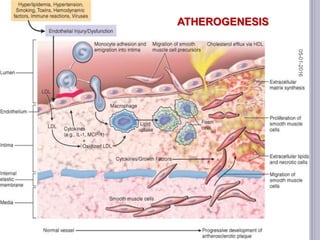 ATHEROGENESIS
05-01-2016
35
 