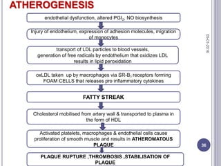 ATHEROGENESIS
endothelial dysfunction, altered PGI2, NO biosynthesis
Injury of endothelium, expression of adhesion molecules, migration
of monocytes
transport of LDL particles to blood vessels,
generation of free radicals by endothelium that oxidizes LDL
results in lipid peroxidation
oxLDL taken up by macrophages via SR-B1 receptors forming
FOAM CELLS that releases pro inflammatory cytokines
FATTY STREAK
Cholesterol mobilised from artery wall & transported to plasma in
the form of HDL
Activated platelets, macrophages & endothelial cells cause
proliferation of smooth muscle and results in ATHEROMATOUS
PLAQUE
PLAQUE RUPTURE ,THROMBOSIS ,STABILISATION OF
PLAQUE
05-01-2016
36
 