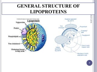 GENERAL STRUCTURE OF
LIPOPROTEINS
05-01-2016
7
 