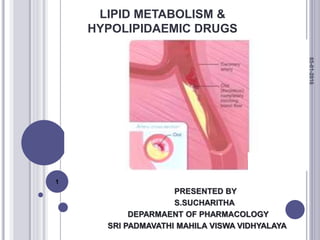 LIPID METABOLISM &
HYPOLIPIDAEMIC DRUGS
PRESENTED BY
S.SUCHARITHA
DEPARMAENT OF PHARMACOLOGY
SRI PADMAVATHI MAHILA VISWA VIDHYALAYA
05-01-2016
1
 