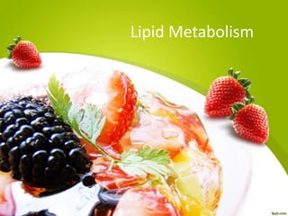 Lipid Metabolism
 